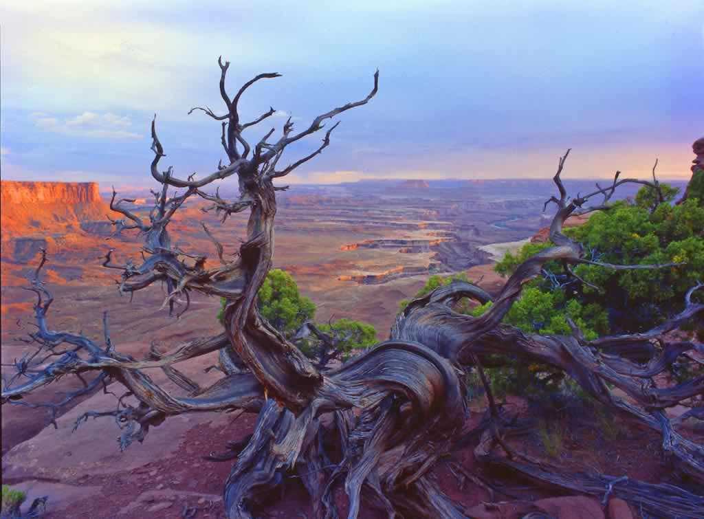 Islands in the Sky Overlook, Canyonlands National Park, Utah